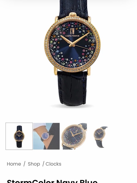 Capri Watch Accessories - Women's Navy Blue Crystal Dial Leather Strap Watch from Capri Watch